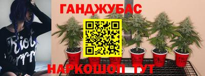 прущая мука Гусев