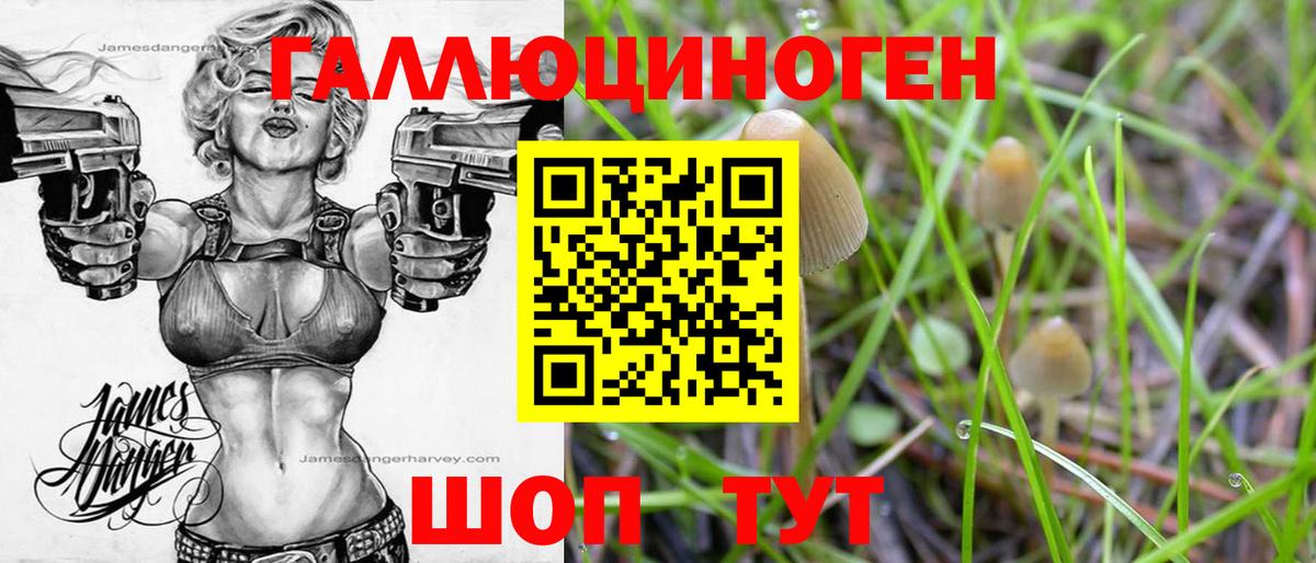 Псилоцибиновые грибы ЛСД  Вход с VPN  Канск 